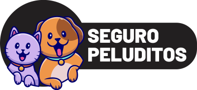 Recurso 2