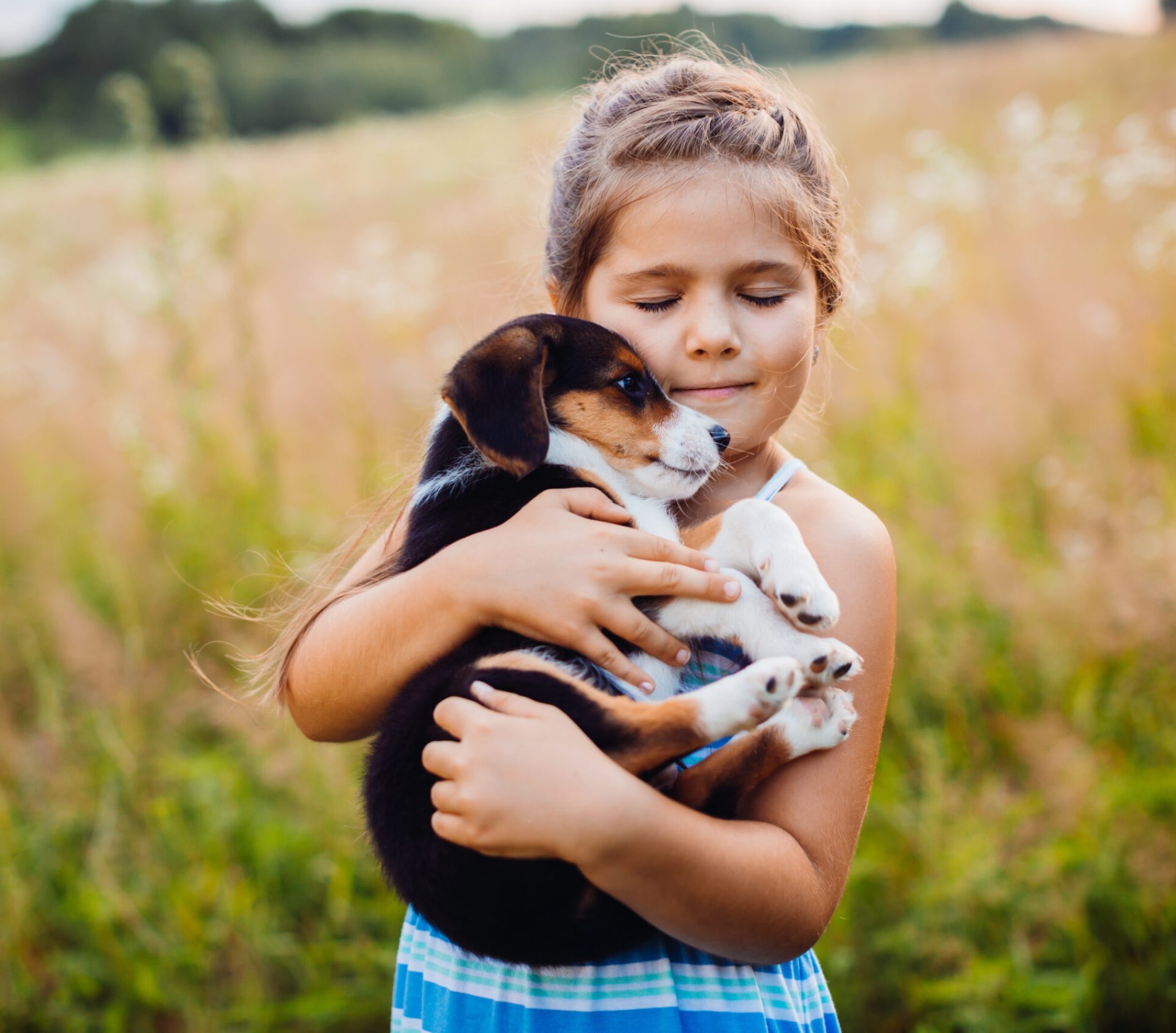 Little girl holds a puppy on her arms Little girl holds a puppy on her arms