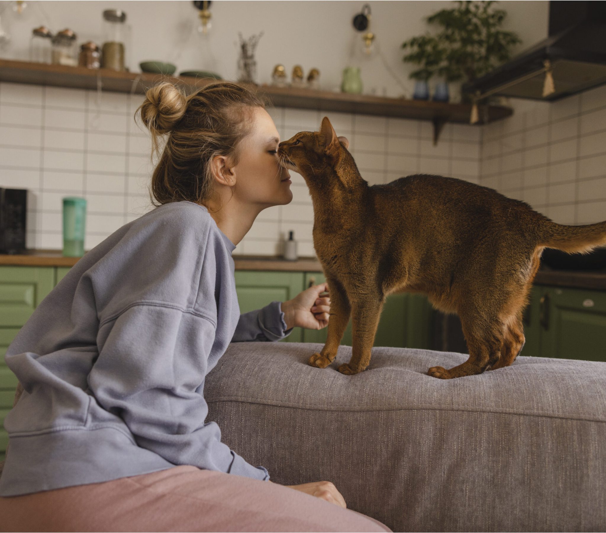 veterinarian-check-ing-puppy-s-health-03 veterinarian-check-ing-puppy-s-health-03