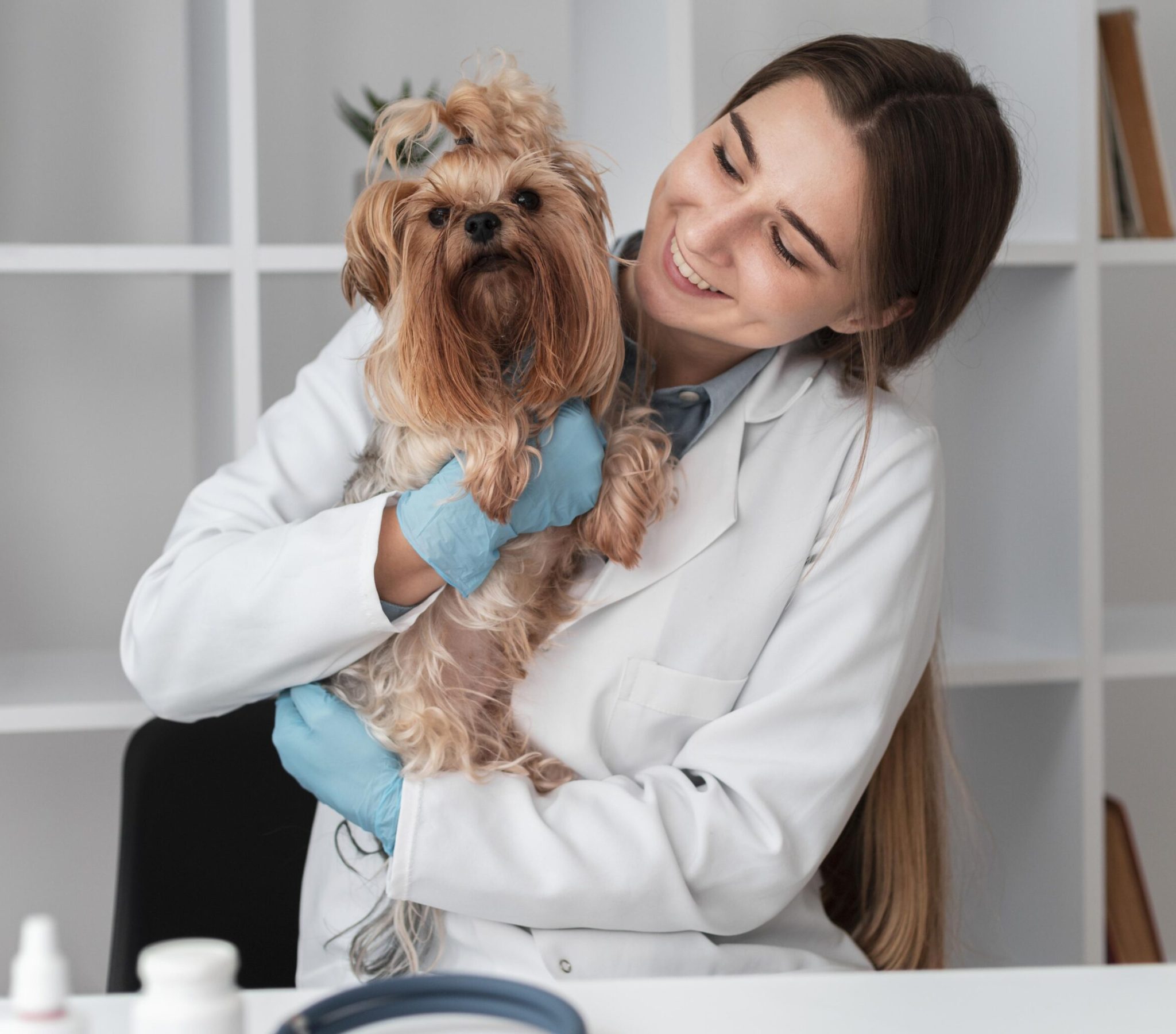 veterinarian-check-ing-puppy-s-health veterinarian-check-ing-puppy-s-health